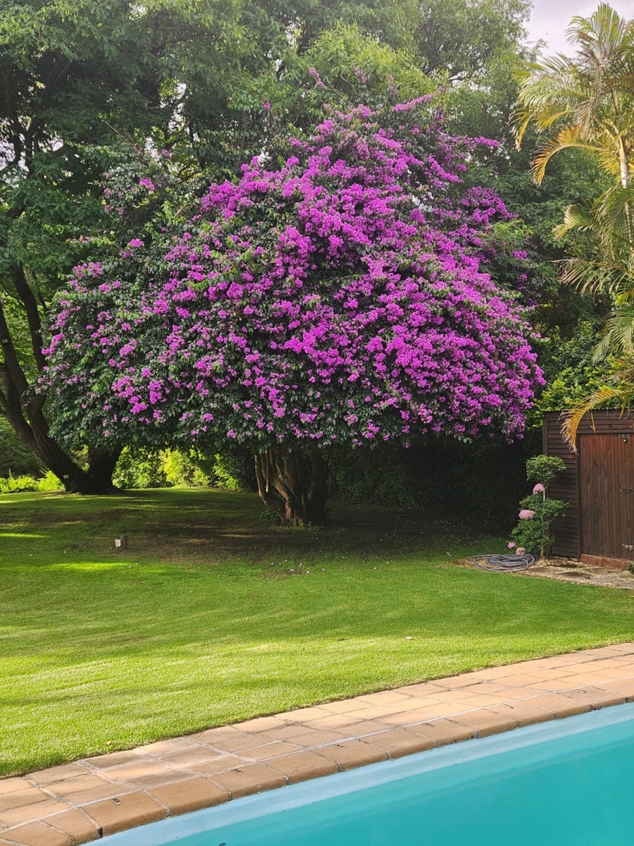 4 Bedroom Property for Sale in Swellendam Western Cape